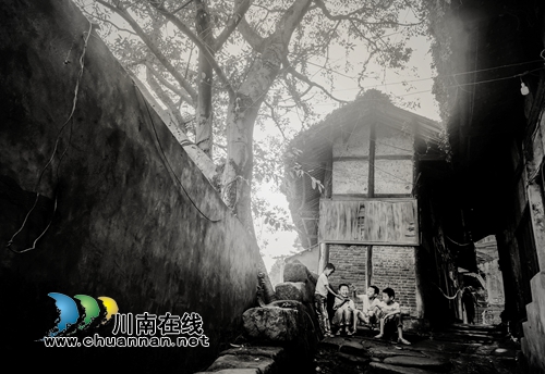 首届“寻找弥陀美景”摄影大赛评选揭晓(图36)