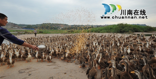 首届“寻找弥陀美景”摄影大赛评选揭晓(图39)