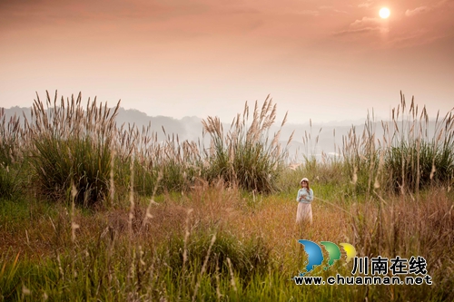首届“寻找弥陀美景”摄影大赛评选揭晓(图56)