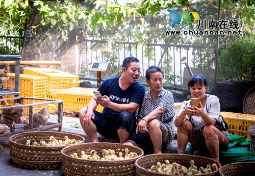 首届“寻找弥陀美景”摄影大赛评选揭晓(图61)