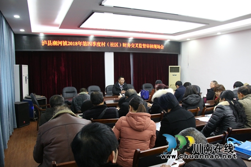 泸县潮河镇开展2018年第四季度村级财务交叉检查(图1)