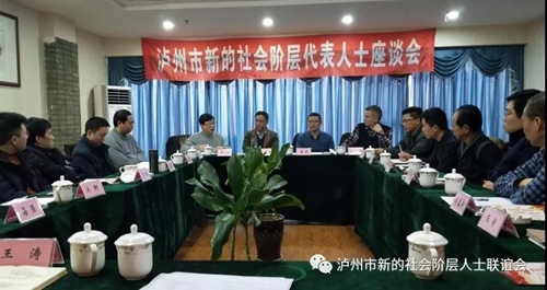 泸州市召开新的社会阶层代表人士座谈会(图1)