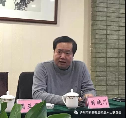 泸州市召开新的社会阶层代表人士座谈会(图4)