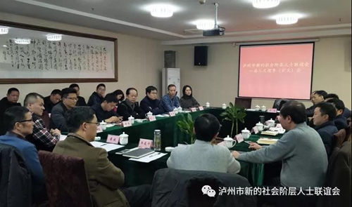 泸州市召开新的社会阶层代表人士座谈会(图5)