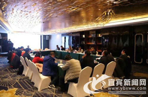 《宜宾建设长江上游区域中心城市研究》开题(图1)