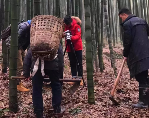 湖南卫视新春节目长宁开拍&nbsp;展当地特色风情(图2)