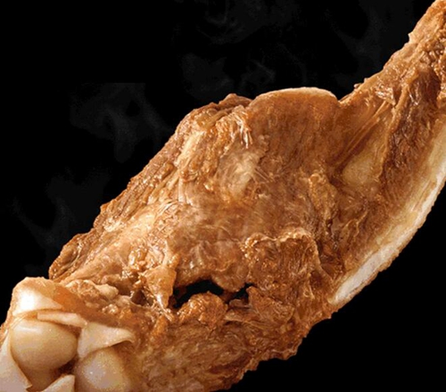 泸州人年底聚餐就在这里！环境美，味道好(图20)