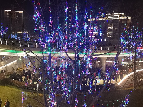 川南首座大型艺术景观天桥在自贡大安建成(图4)