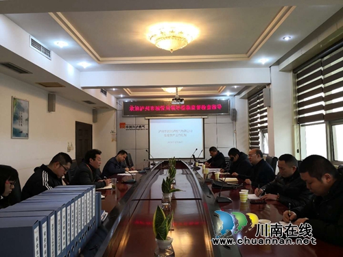 泸州市城管执法局对龙马潭区安全生产进行督察(图1)