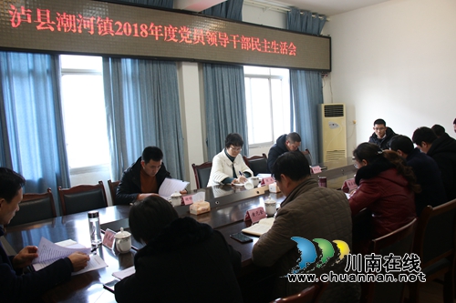 陈佳出席泸县潮河镇2018年度民主生活会(图2)