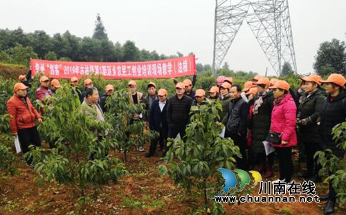 宜宾：定做就业培训菜单&nbsp;农民工情牵油樟林(图4)