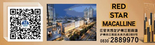 红星美凯龙泸州江阳商场举行新春团拜会(图31)