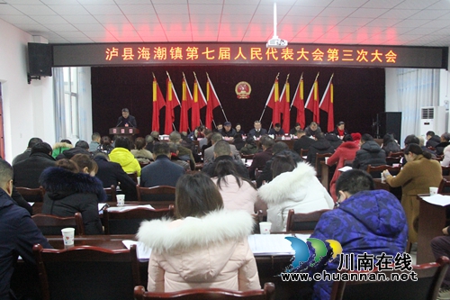 泸县海潮镇召开第七届人民代表大会第三次会议(图1)