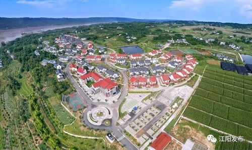 全市唯一！江阳获评全省“三农”工作先进县(图3)