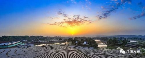 全市唯一！江阳获评全省“三农”工作先进县(图2)