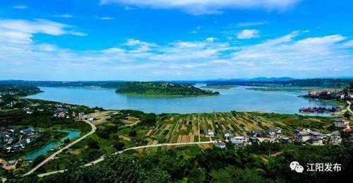 全市唯一！江阳获评全省“三农”工作先进县(图5)