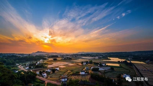 全市唯一！江阳获评全省“三农”工作先进县(图6)