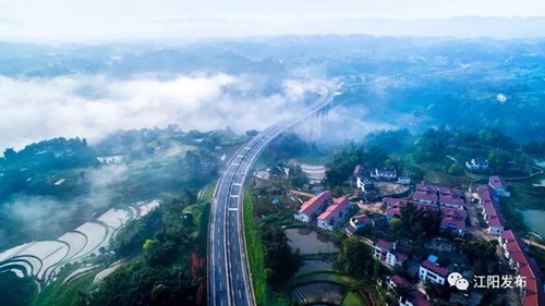 全市唯一！江阳获评全省“三农”工作先进县(图8)