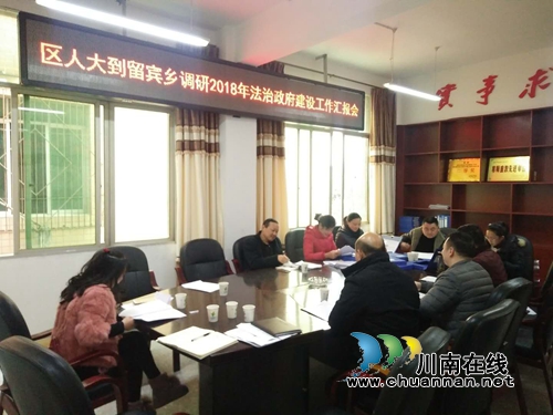 宜宾南溪区人大到留宾乡调研法治政府建设(图1)