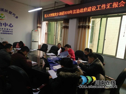 宜宾南溪区人大到留宾乡调研法治政府建设(图2)