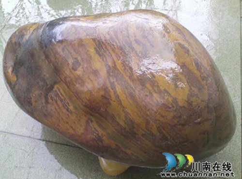 泸州惊现长江奇石“河马之脑”(图2)