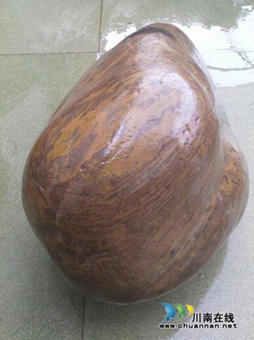 泸州惊现长江奇石“河马之脑”(图3)