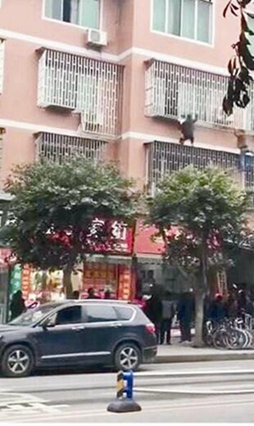 泸州小女孩悬吊三楼防护窗&nbsp;&nbsp;街坊爬楼将她救下(图1)