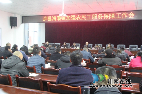 泸县海潮镇召开加强农民工服务保障工作会(图1)