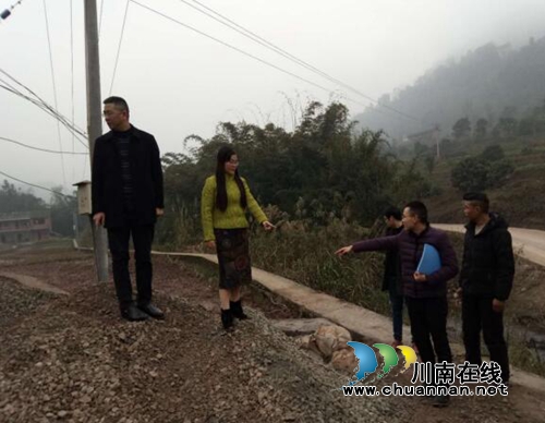 曾晓玲陆启华一行检查合江县福宝镇土地整理项目工作开展情况(图2)