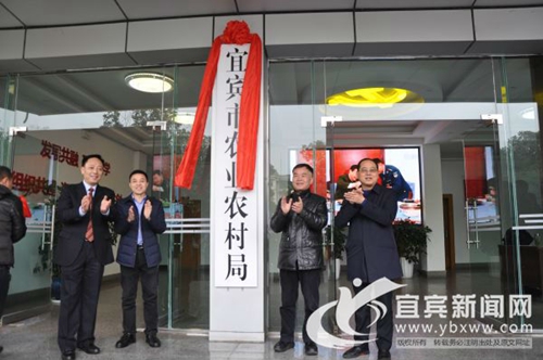 机构改革持续推进&nbsp;宜宾这些机构正式挂牌成立(图3)