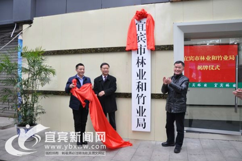 机构改革持续推进&nbsp;宜宾这些机构正式挂牌成立(图4)