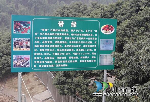 “中华名果”永久性标志在合江县实录镇落成(图2) “中华名果”永久性标志在合江县实录镇落成(图2)