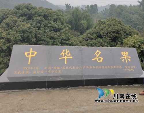“中华名果”永久性标志在合江县实录镇落成(图1) “中华名果”永久性标志在合江县实录镇落成(图1)