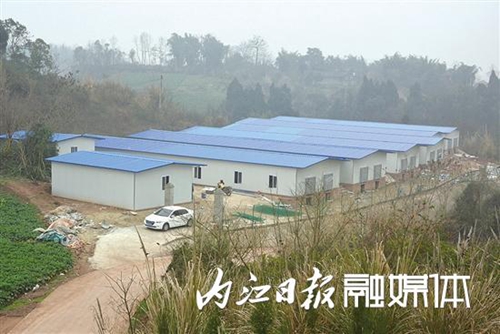 内江返乡创客养兔年收40万&nbsp;服务惠及两个村(图3)