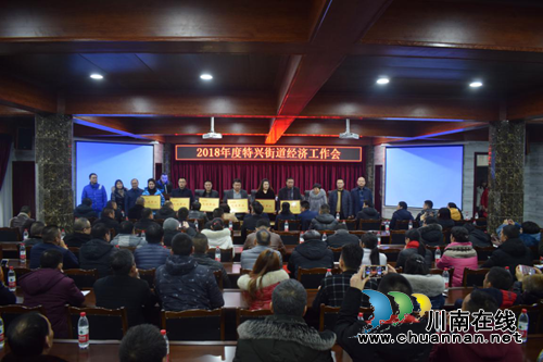 龙马潭特兴街道2018年经济工作暨2019年新春茶话会(图1)