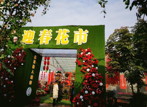 逛花市&nbsp;宜宾首届花卉园艺暨迎春花市开幕(图1)