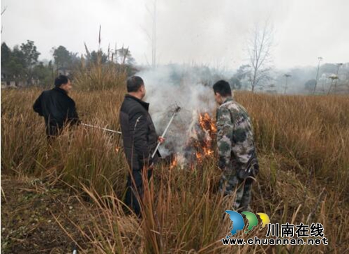 南溪区汪家镇:开展森林防火应急演练,确保春节安全稳定(图1) 南溪区汪家镇:开展森林防火应急演练,确保春节安全稳定(图1)