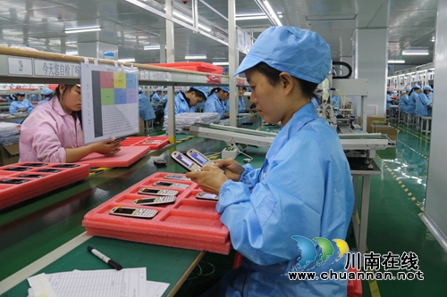 泸州龙马潭：民营经济跳起摸高展新姿(图6)