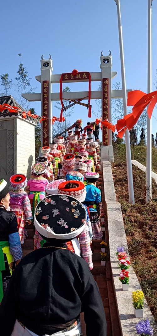 立花杆踩花山 泸州苗族同胞载歌载舞庆新春(图1) 立花杆踩花山 泸州苗族同胞载歌载舞庆新春(图1)