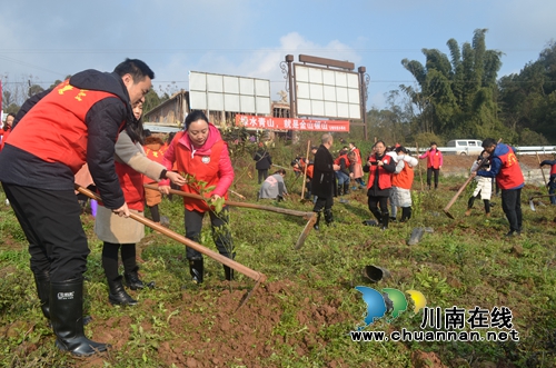 泸县玉蟾街道联合县总工会开展春节义务植树活动(图1)