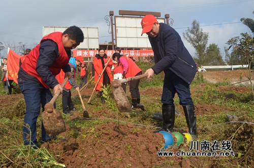 泸县玉蟾街道联合县总工会开展春节义务植树活动(图3)