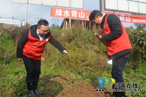 泸县玉蟾街道联合县总工会开展春节义务植树活动(图2)