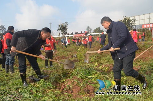 泸县玉蟾街道联合县总工会开展春节义务植树活动(图4)