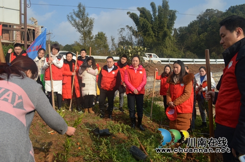 泸县玉蟾街道联合县总工会开展春节义务植树活动(图5)