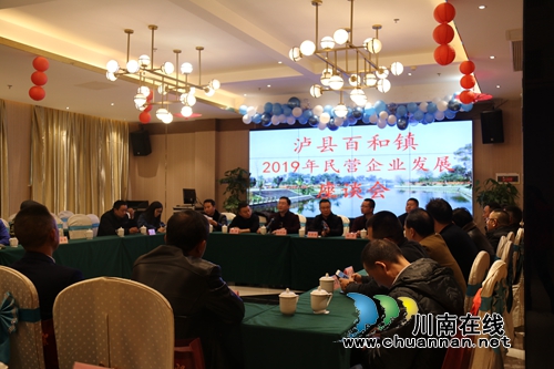 泸县百和镇组织召开民营企业发展座谈会(图1)