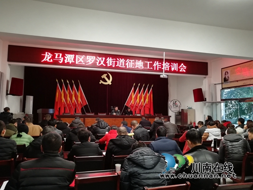 龙马潭区罗汉街道召开征地工作培训会(图1)