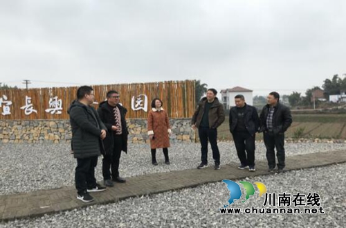 宜宾长兴镇：新年伊始忙下村&nbsp;谋篇布局话发展(图1)