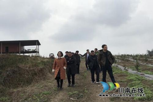 宜宾长兴镇人大：关注产业发展，开启新春“敬业福”(图1)