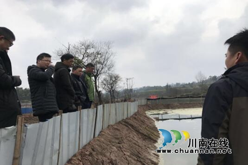 宜宾长兴镇人大：关注产业发展，开启新春“敬业福”(图2)