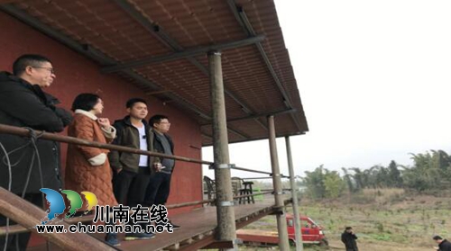 宜宾长兴镇人大：关注产业发展，开启新春“敬业福”(图3)